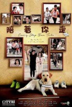 TVB Every Step You Take Movie Poster